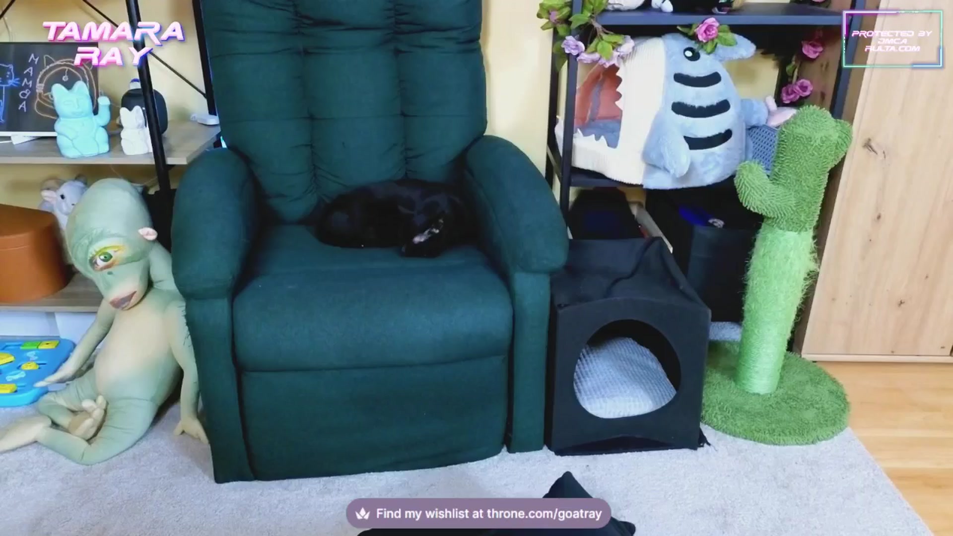 Gallery image thumbnail from TamaraRay's myfreecams stream on, 01/30/2025, 06:39 image 19 of 20