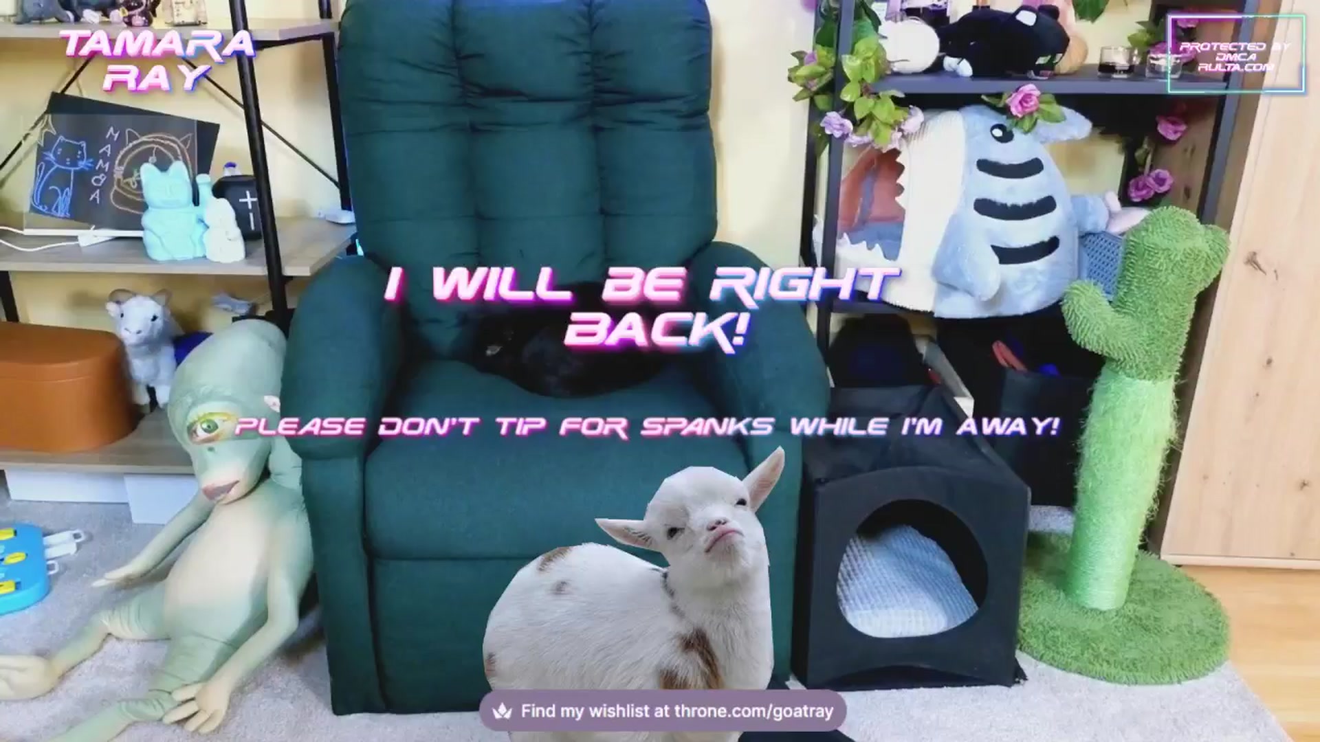 Gallery image thumbnail from TamaraRay's myfreecams stream on, 02/03/2025, 06:06 image 7 of 20