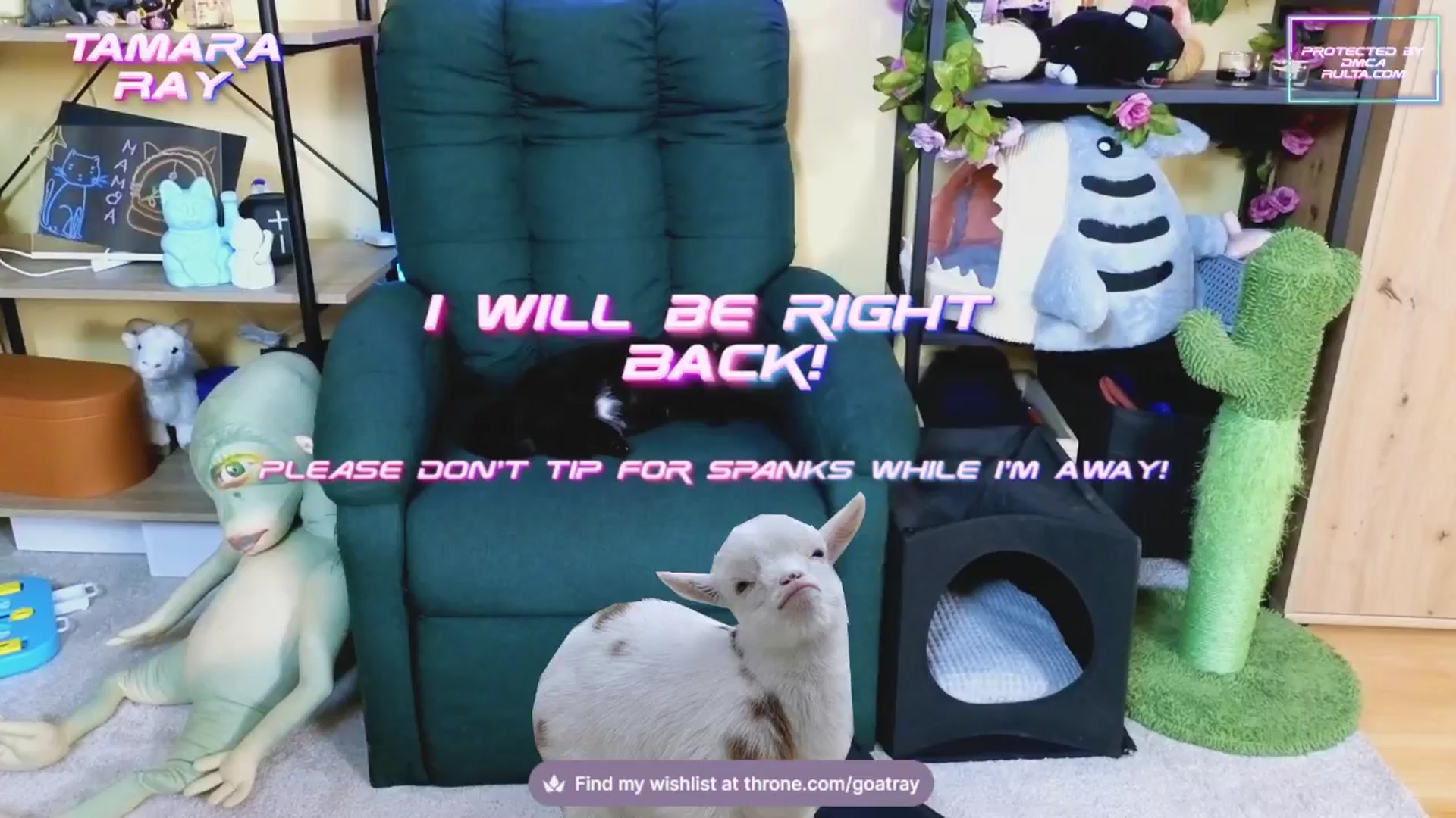 Gallery image thumbnail from TamaraRay's myfreecams stream on, 02/03/2025, 06:06 image 3 of 20