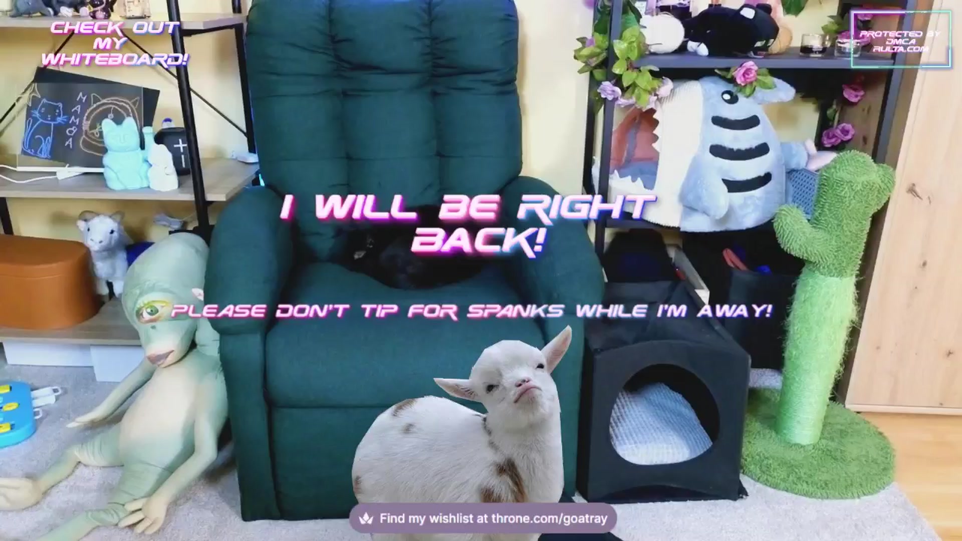 Gallery image thumbnail from TamaraRay's myfreecams stream on, 02/03/2025, 06:06 image 5 of 20