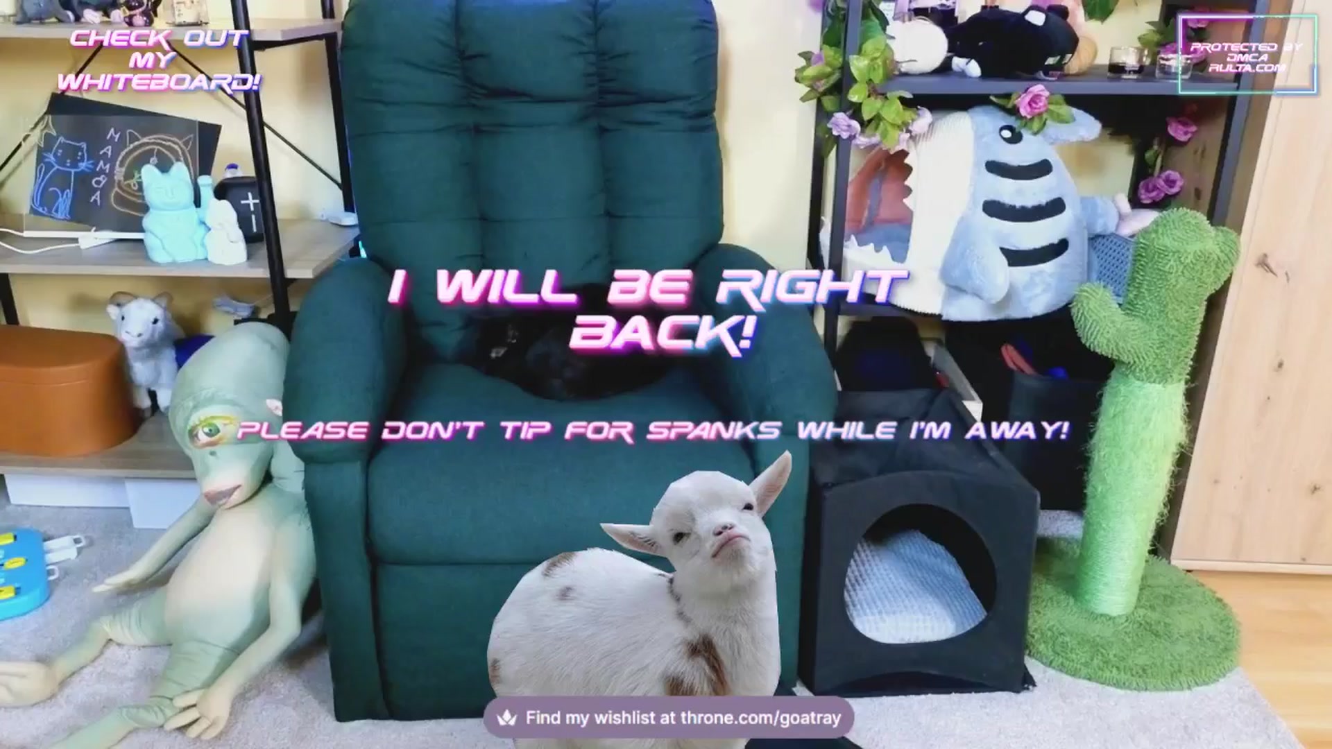 Gallery image thumbnail from TamaraRay's myfreecams stream on, 02/03/2025, 06:06 image 4 of 20