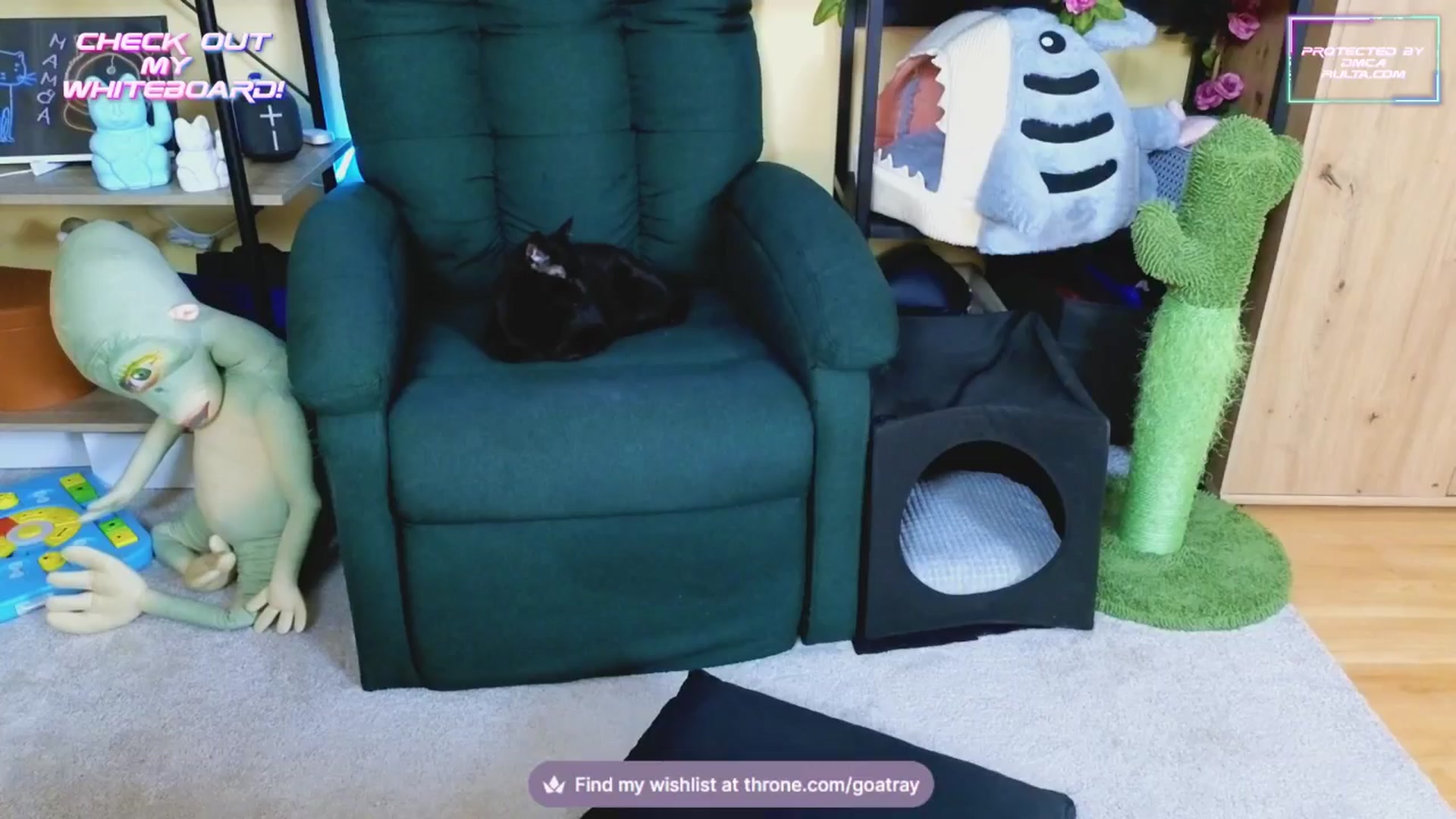 Gallery image thumbnail from TamaraRay's myfreecams stream on, 02/10/2025, 04:53 image 8 of 20