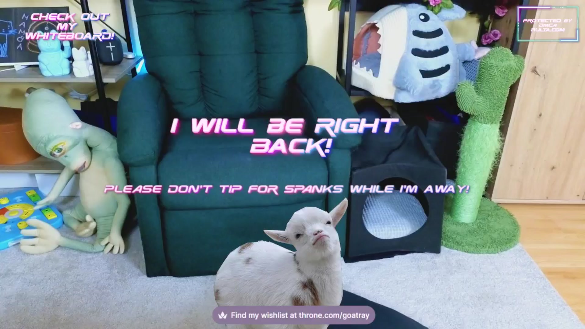 Gallery image thumbnail from TamaraRay's myfreecams stream on, 02/10/2025, 04:53 image 14 of 20