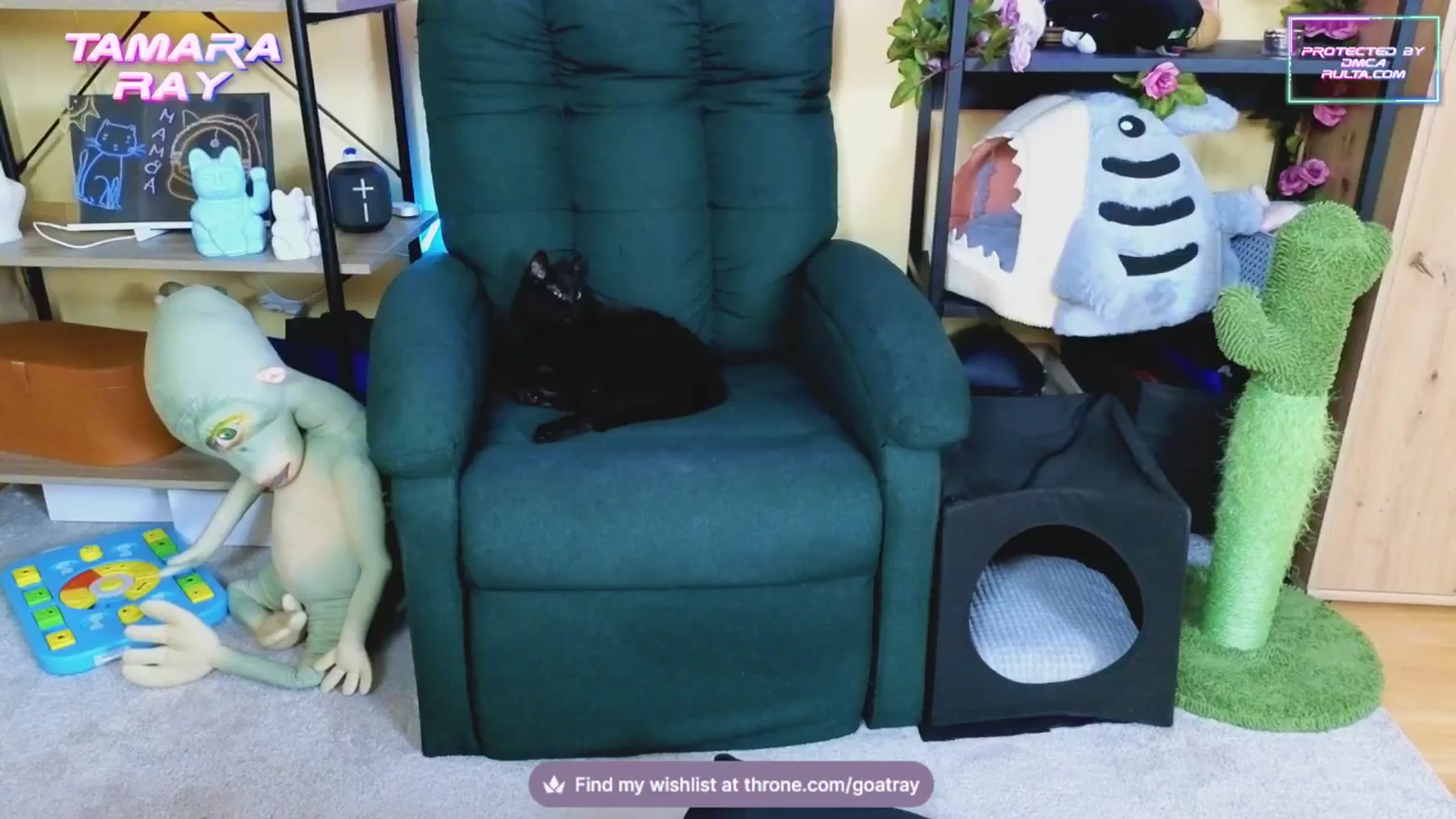 Gallery image thumbnail from TamaraRay's myfreecams stream on, 02/10/2025, 04:53 image 2 of 20