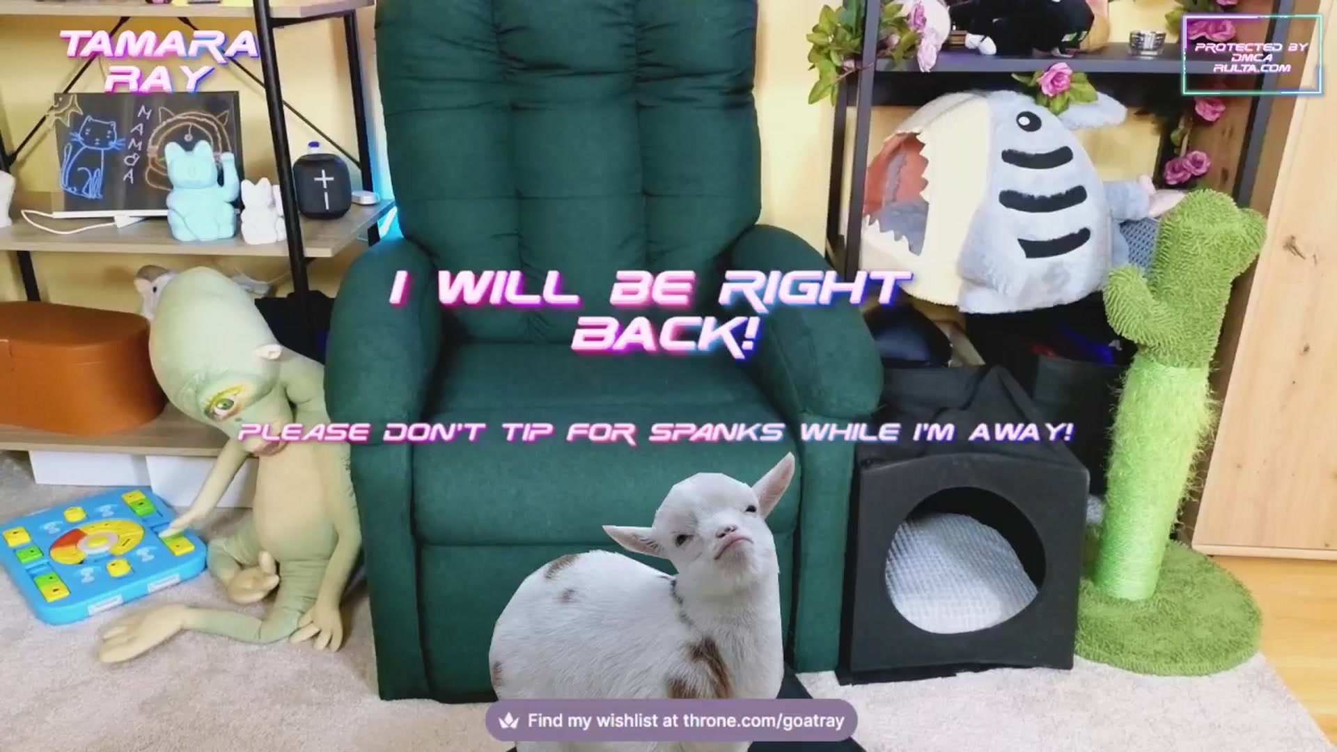 Gallery image thumbnail from TamaraRay's myfreecams stream on, 02/11/2025, 05:18 image 16 of 20