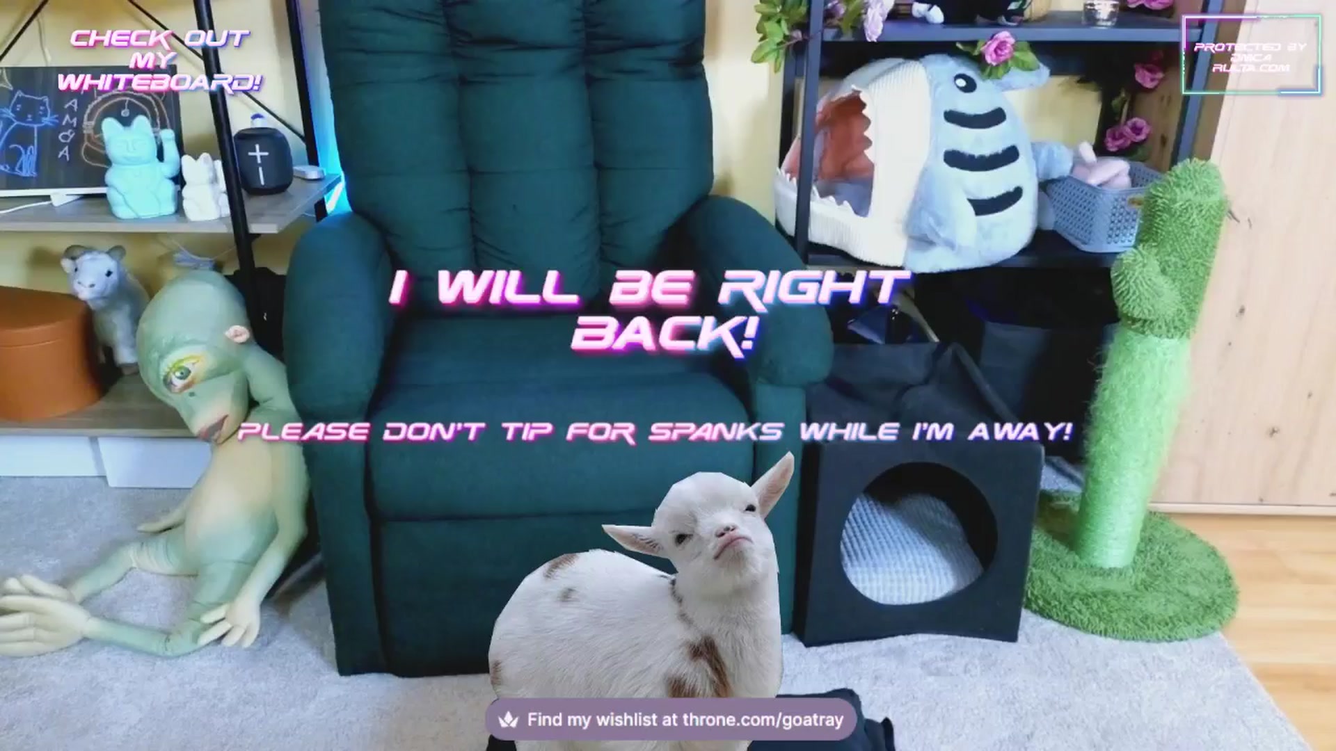 Gallery image thumbnail from TamaraRay's myfreecams stream on, 02/14/2025, 04:29 image 18 of 20
