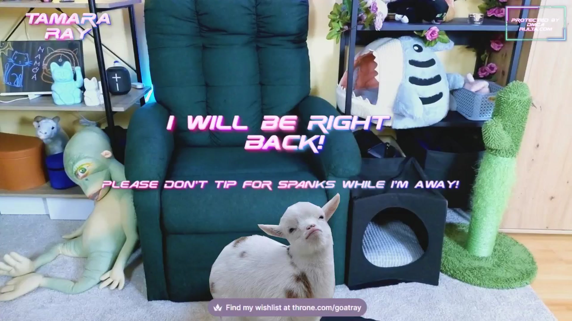 Gallery image thumbnail from TamaraRay's myfreecams stream on, 02/14/2025, 07:16 image 12 of 20