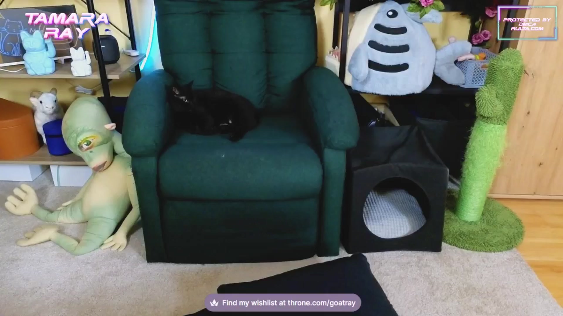 Gallery image thumbnail from TamaraRay's myfreecams stream on, 02/17/2025, 07:36 image 4 of 20