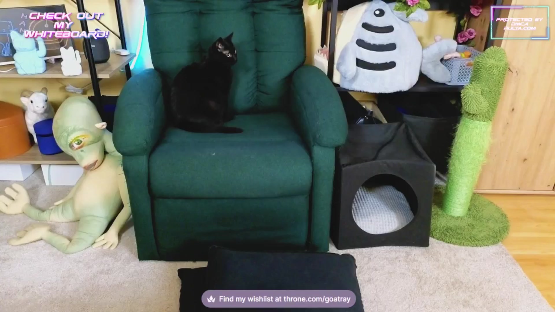 Gallery image thumbnail from TamaraRay's myfreecams stream on, 02/17/2025, 07:36 image 3 of 20