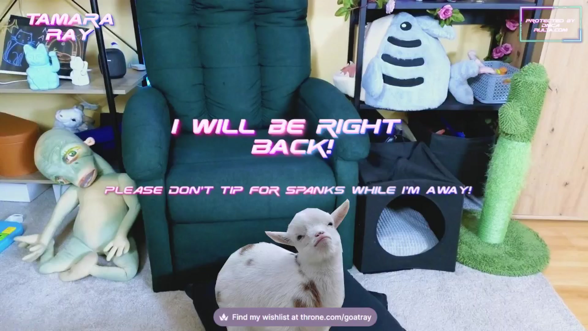 Gallery image thumbnail from TamaraRay's myfreecams stream on, 02/18/2025, 06:09 image 19 of 20