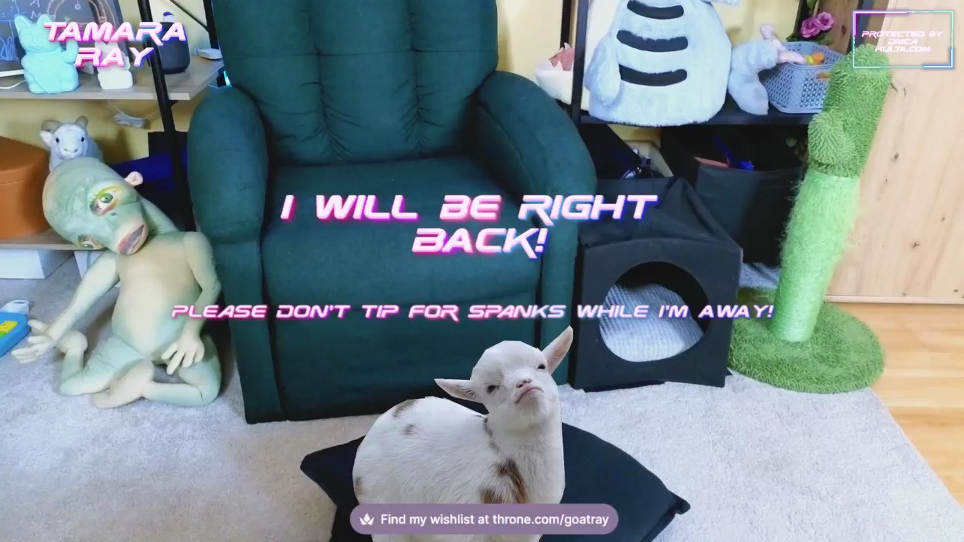Gallery image thumbnail from TamaraRay's myfreecams stream on, 02/18/2025, 06:09 image 5 of 20