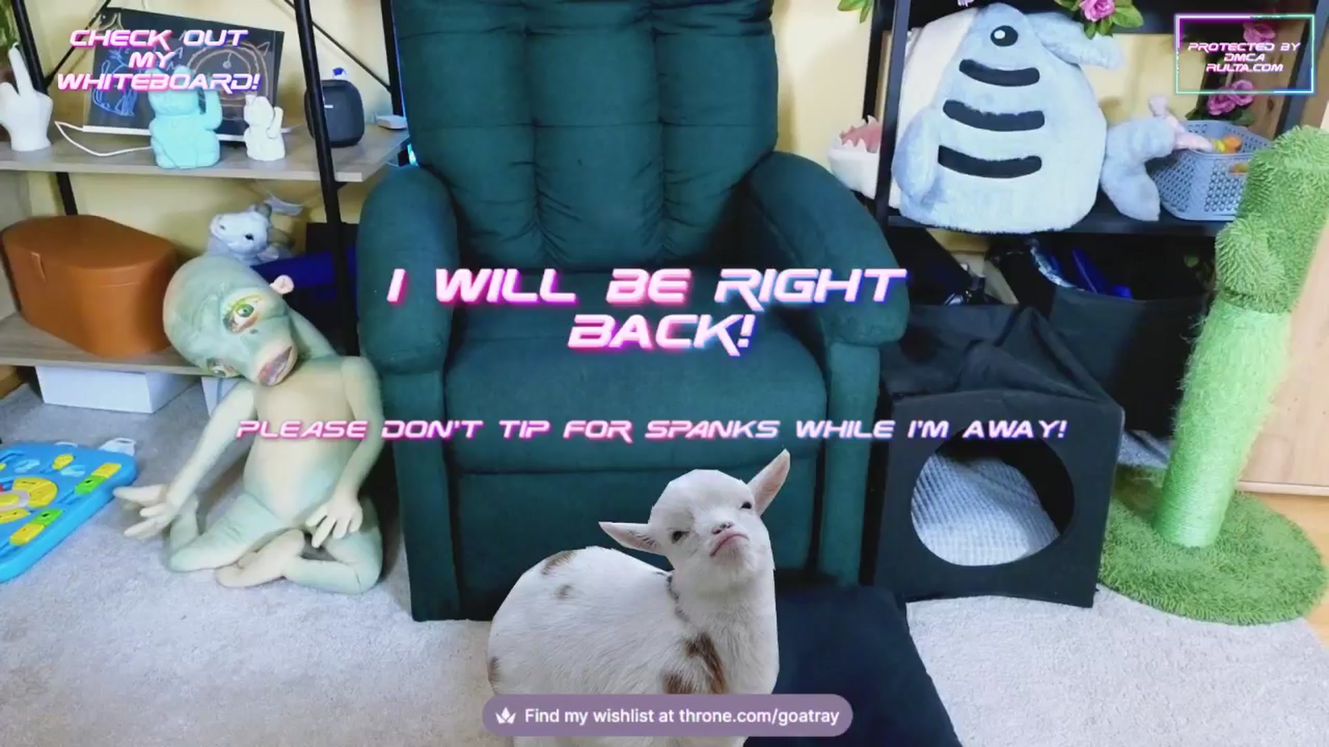 Gallery image thumbnail from TamaraRay's myfreecams stream on, 02/19/2025, 06:36 image 12 of 20