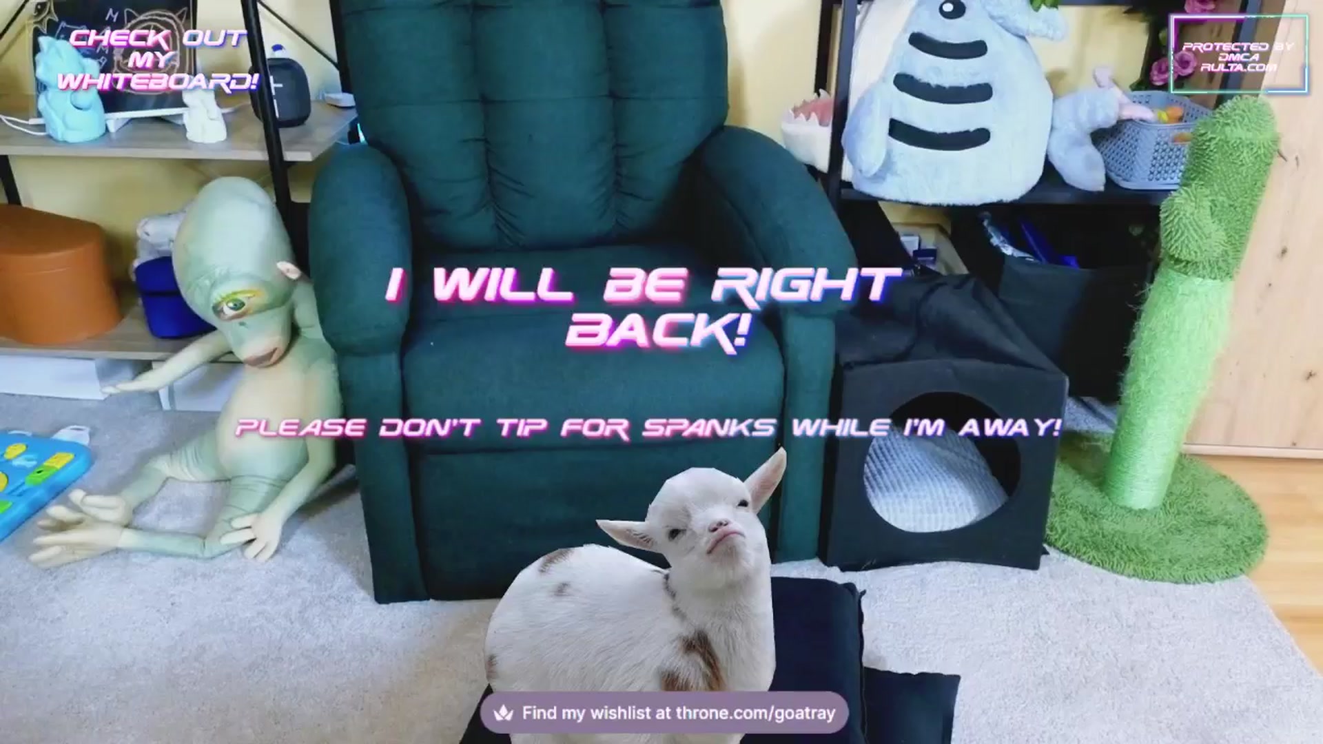 Gallery image thumbnail from TamaraRay's myfreecams stream on, 02/20/2025, 06:04 image 18 of 20