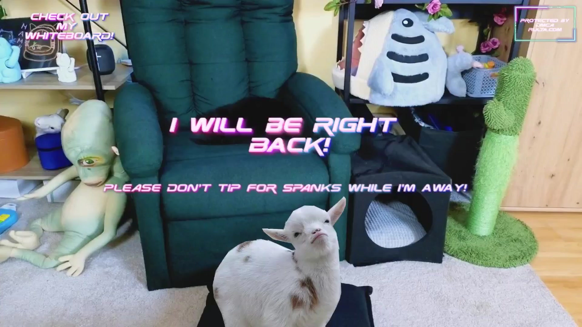 Gallery image thumbnail from TamaraRay's myfreecams stream on, 02/21/2025, 07:43 image 6 of 20