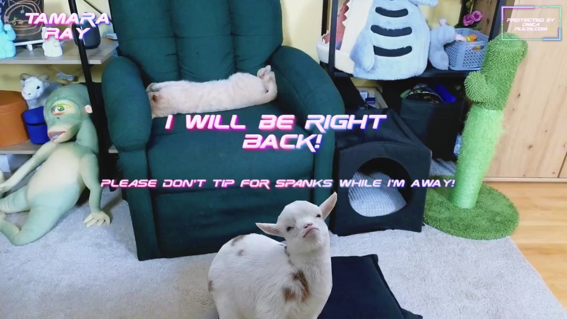 Gallery image thumbnail from TamaraRay's myfreecams stream on, 02/22/2025, 06:12 image 11 of 20