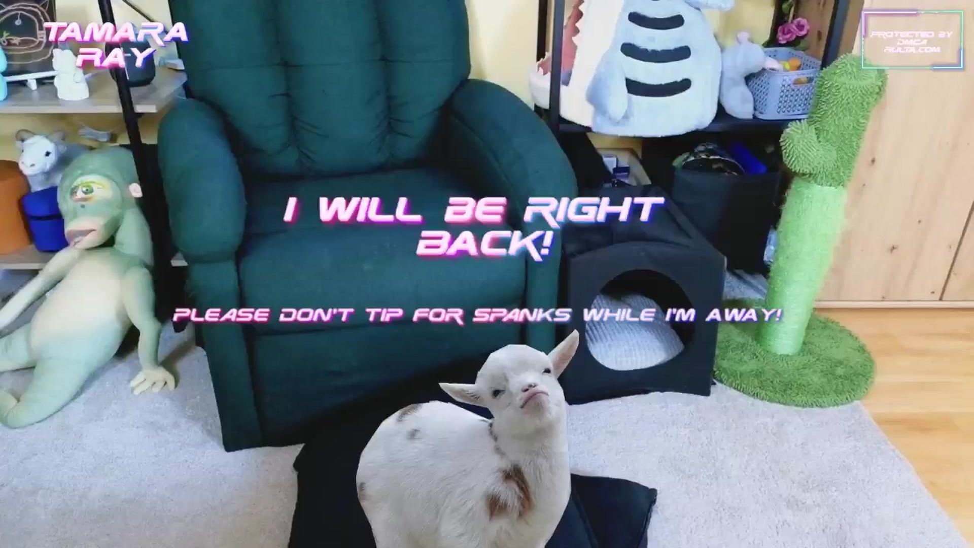 Gallery image thumbnail from TamaraRay's myfreecams stream on, 02/22/2025, 06:12 image 6 of 20