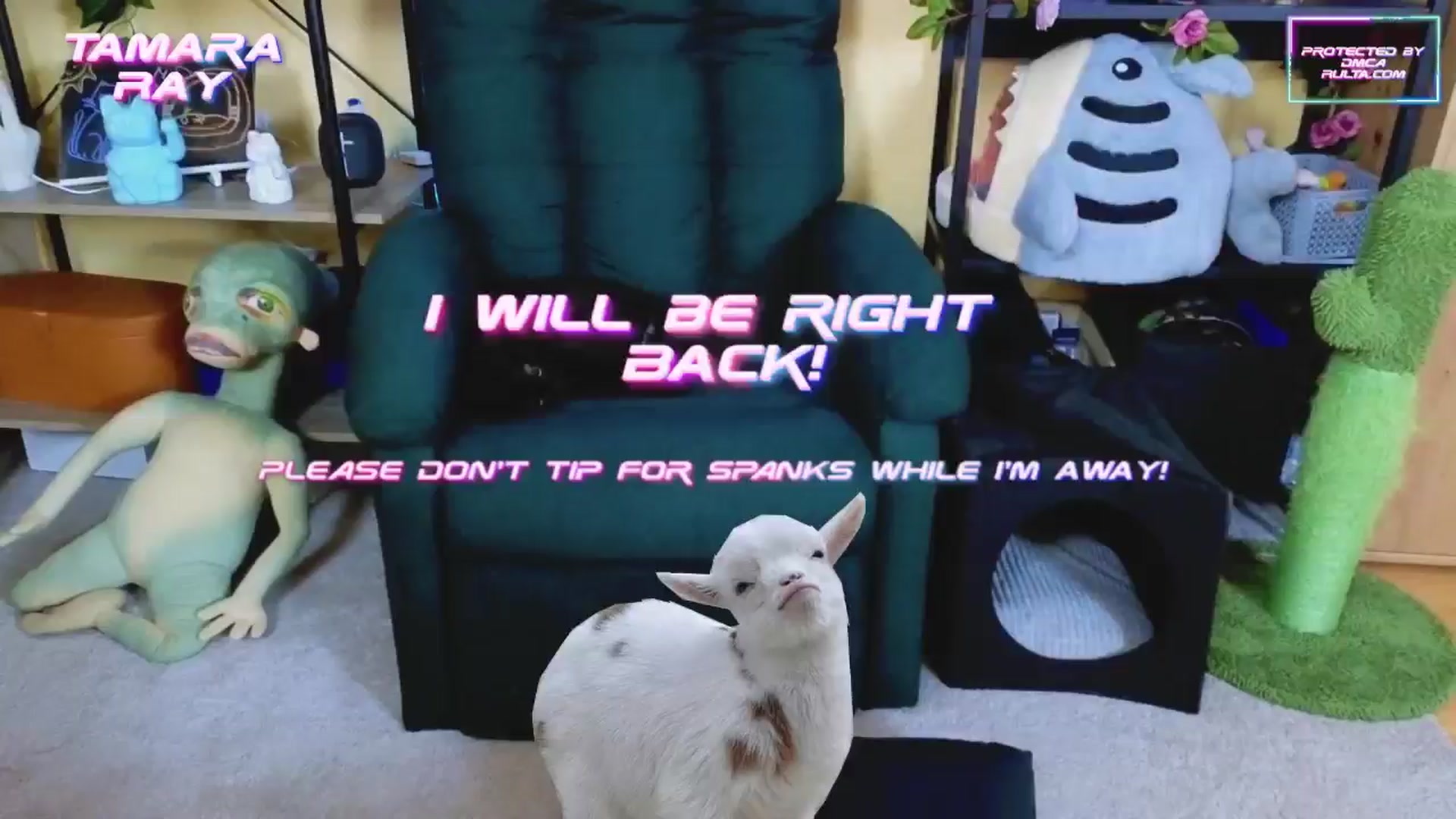 Gallery image thumbnail from TamaraRay's myfreecams stream on, 02/23/2025, 06:11 image 6 of 20