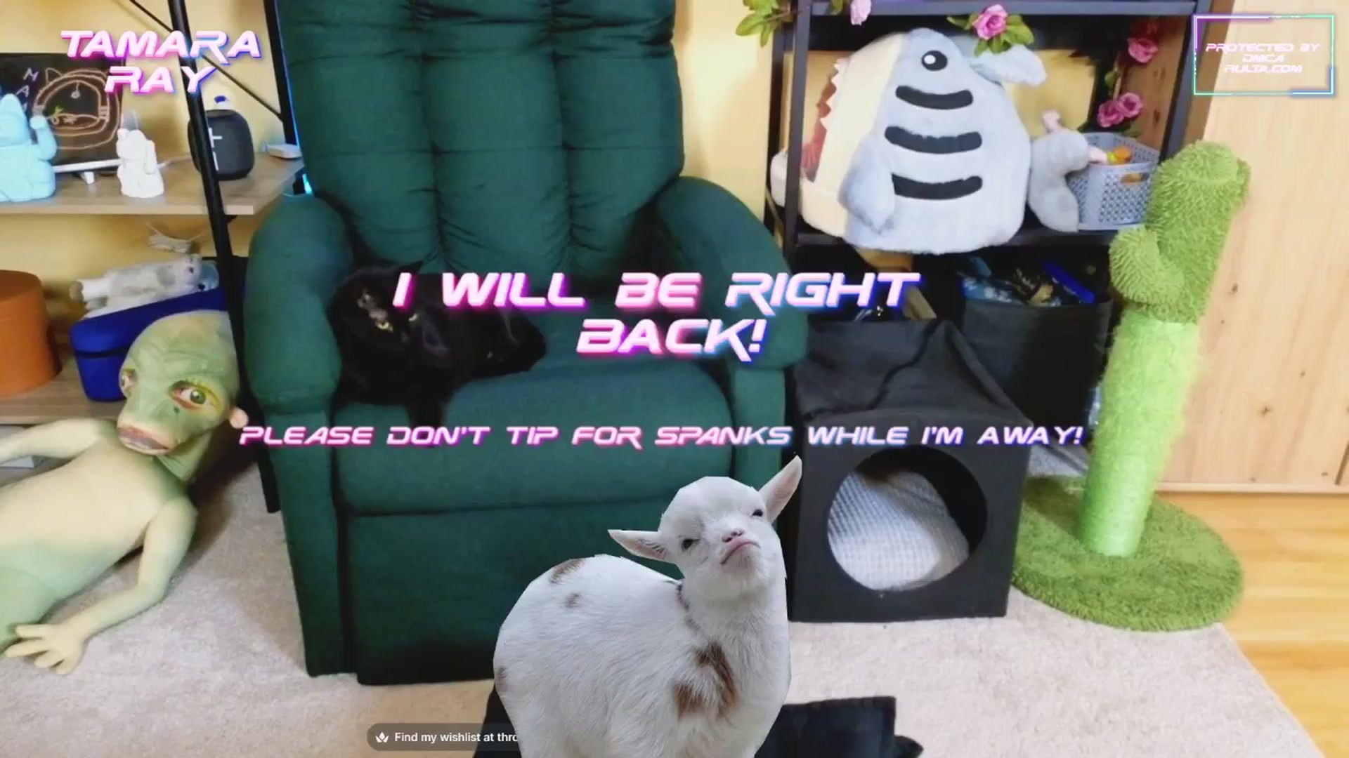 Gallery image thumbnail from TamaraRay's myfreecams stream on, 02/24/2025, 05:58 image 4 of 20