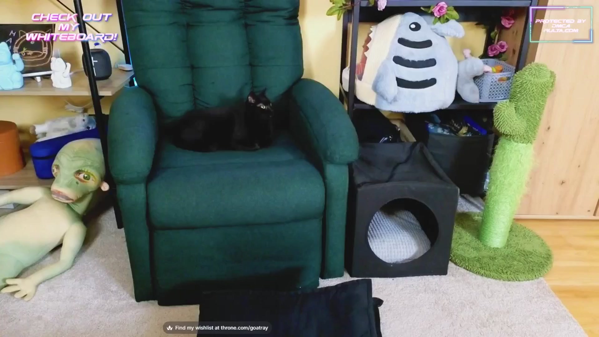 Gallery image thumbnail from TamaraRay's myfreecams stream on, 02/24/2025, 05:58 image 1 of 20