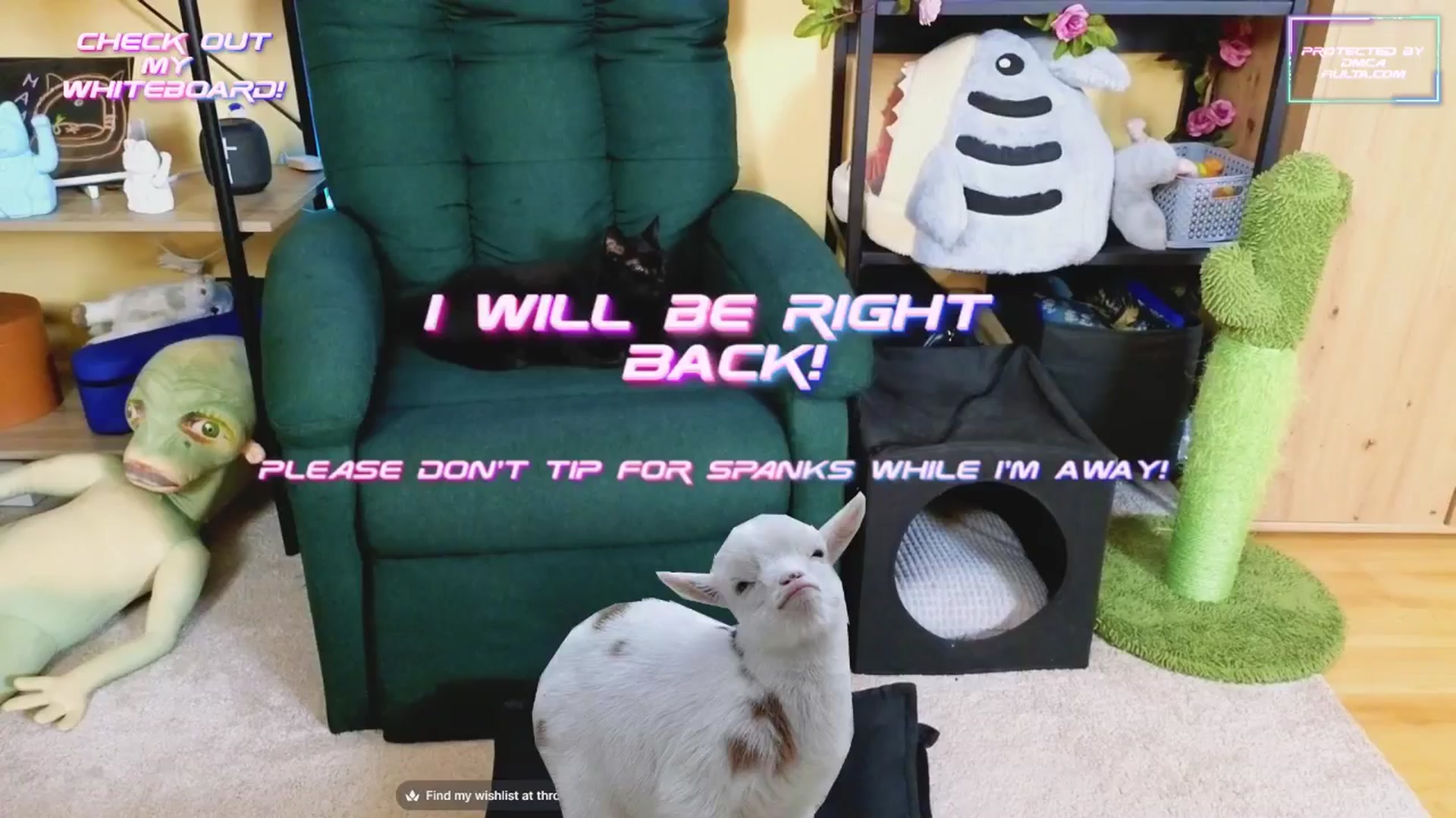 Gallery image thumbnail from TamaraRay's myfreecams stream on, 02/24/2025, 05:58 image 2 of 20