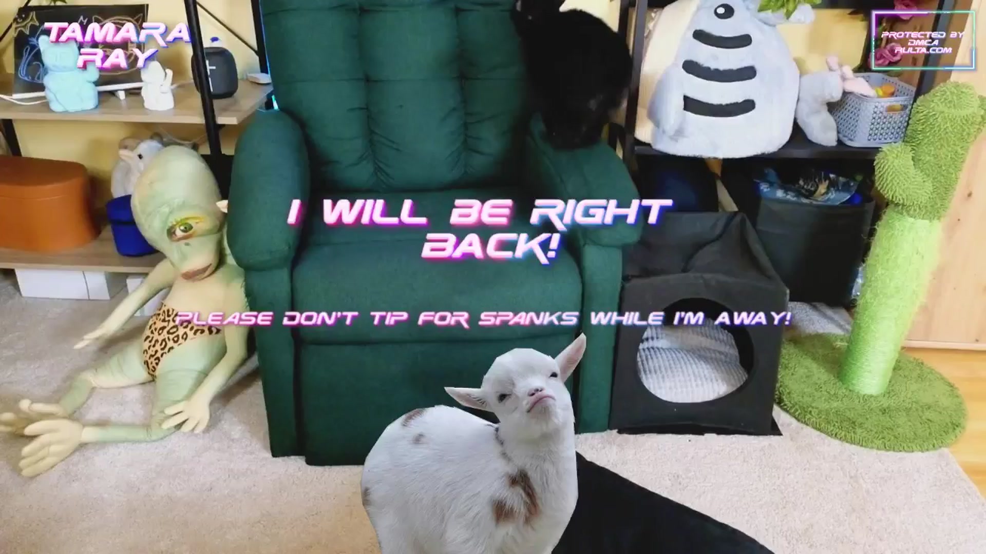 Gallery image thumbnail from TamaraRay's myfreecams stream on, 02/25/2025, 06:05 image 4 of 20