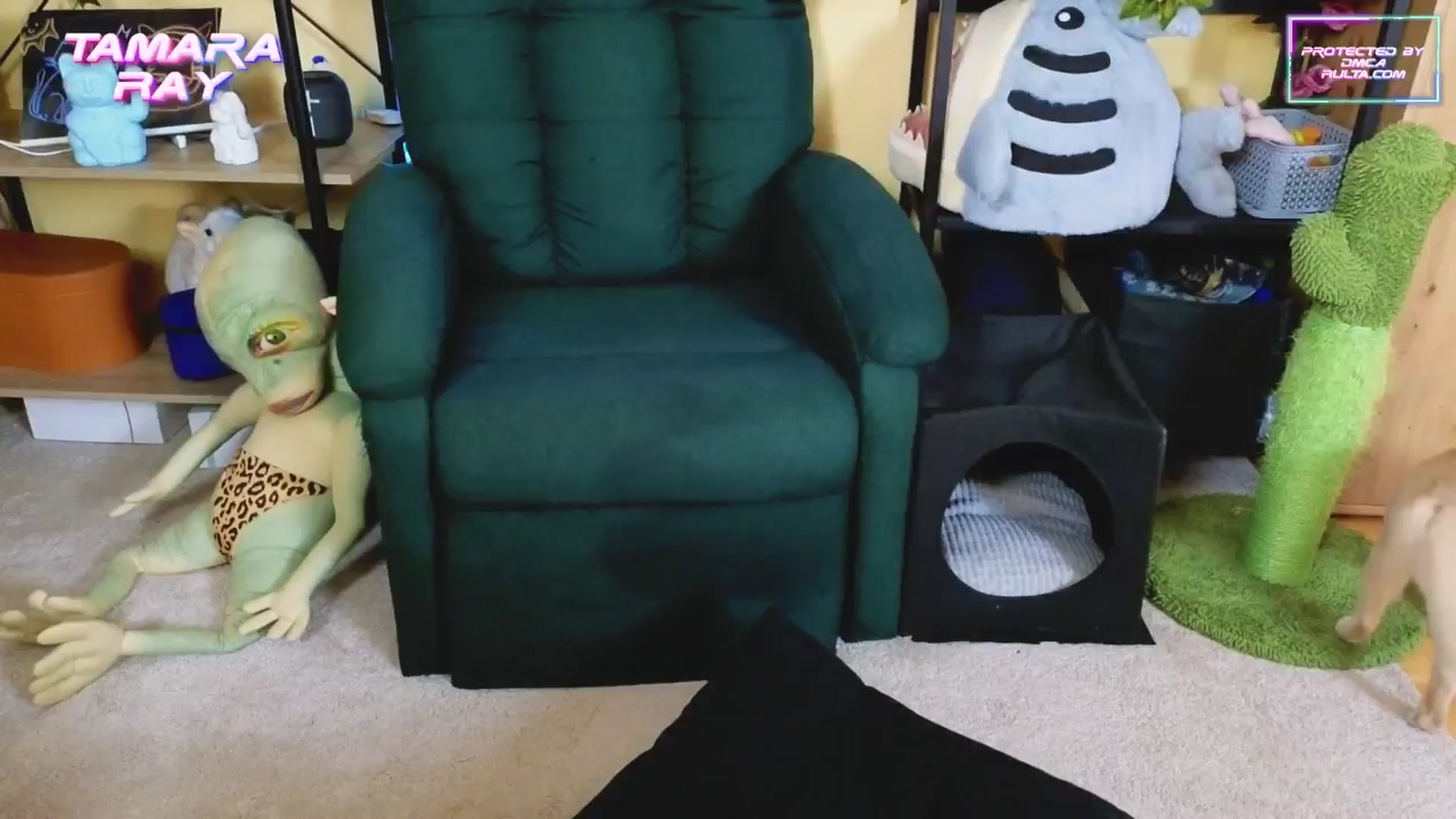 Gallery image thumbnail from TamaraRay's myfreecams stream on, 02/25/2025, 06:05 image 5 of 20