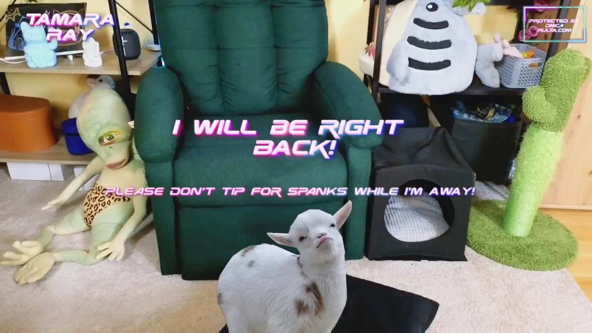 Gallery image thumbnail from TamaraRay's myfreecams stream on, 02/25/2025, 06:05 image 20 of 20
