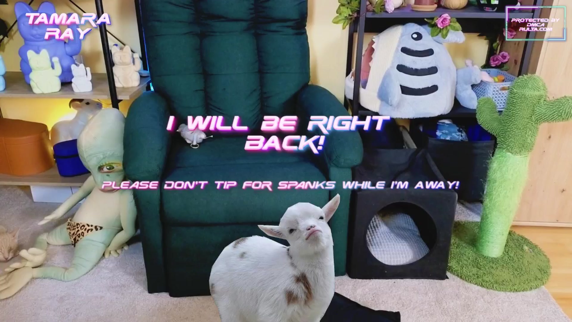 Gallery image thumbnail from TamaraRay's myfreecams stream on, 03/03/2025, 06:39 image 12 of 20