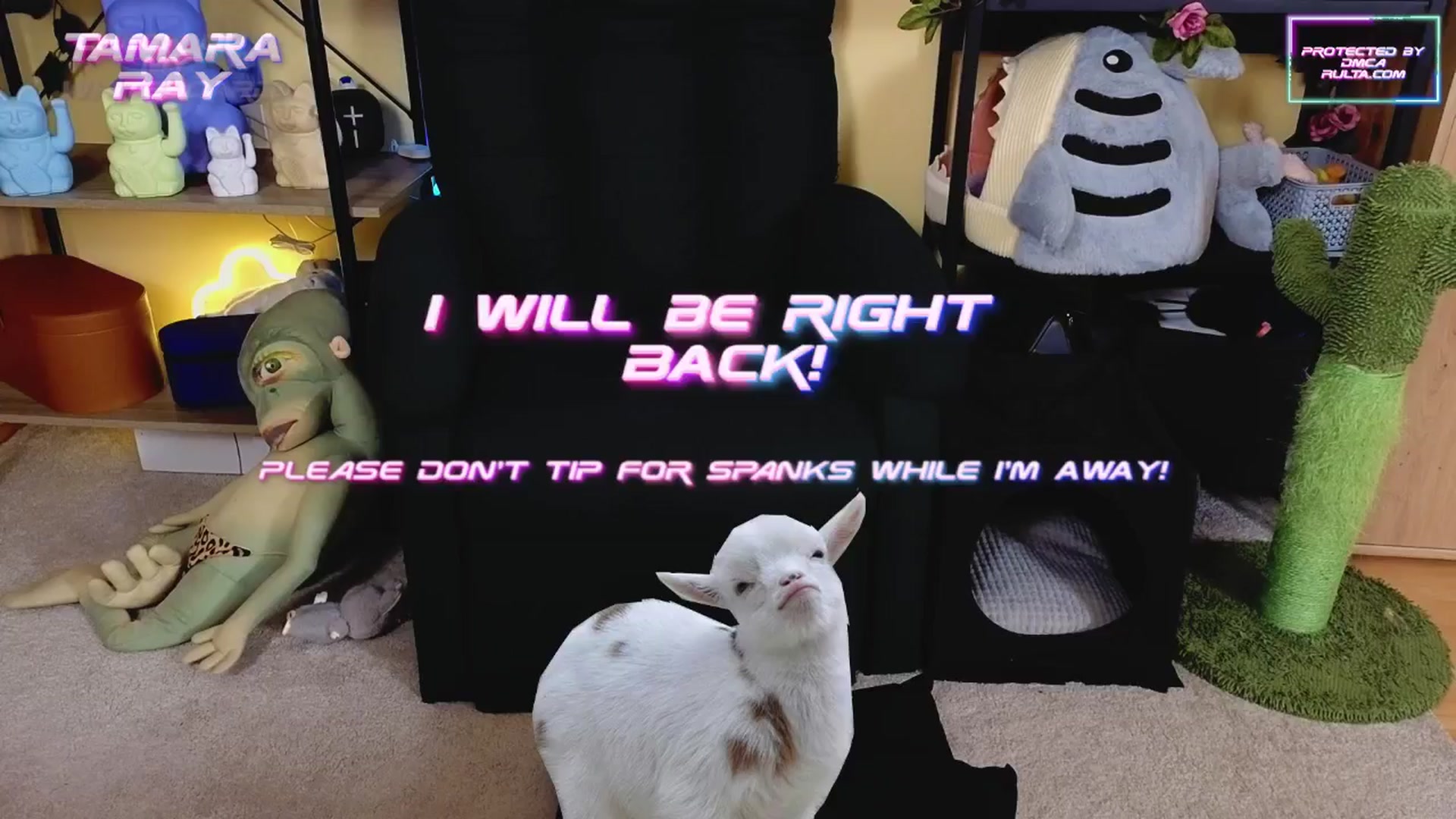 Gallery image thumbnail from TamaraRay's myfreecams stream on, 03/06/2025, 05:10 image 14 of 20