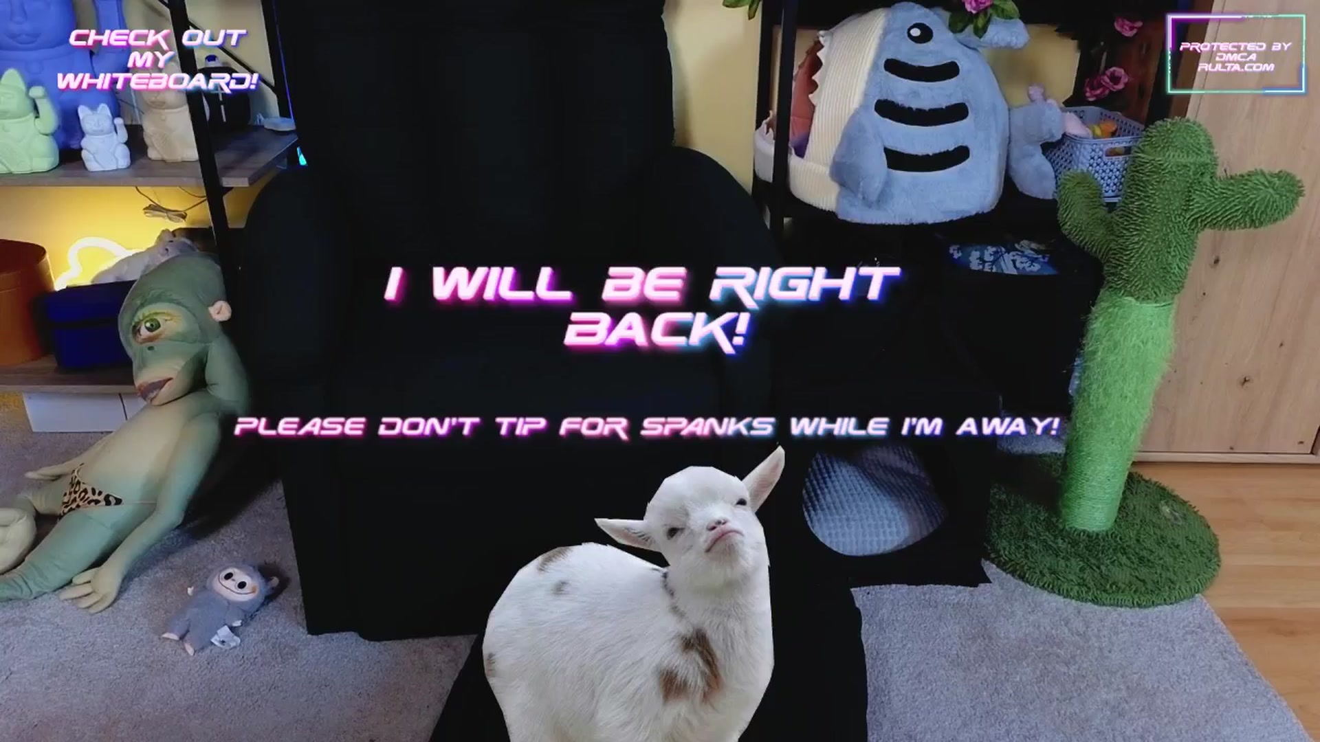 Gallery image thumbnail from TamaraRay's myfreecams stream on, 03/08/2025, 07:09 image 9 of 20
