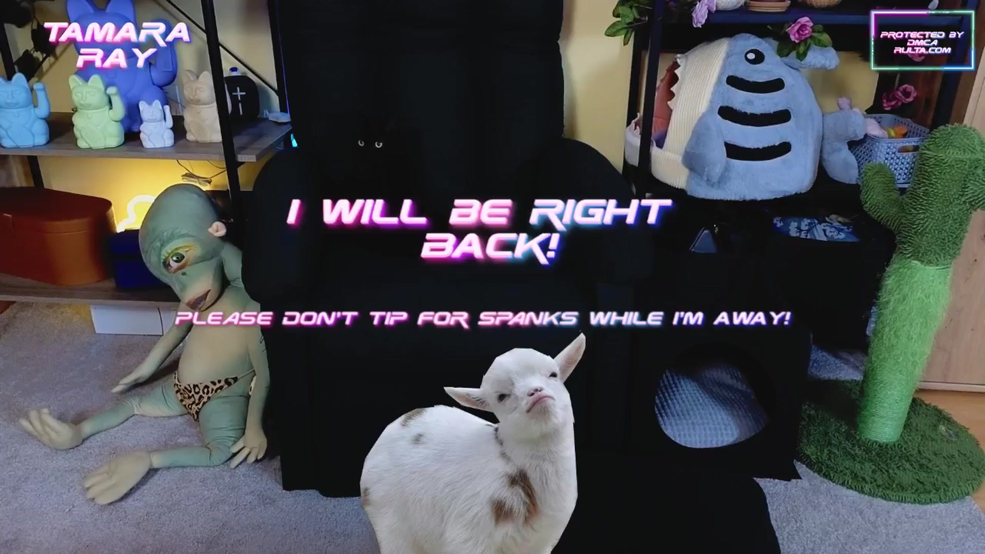 Gallery image thumbnail from TamaraRay's myfreecams stream on, 03/08/2025, 07:09 image 17 of 20