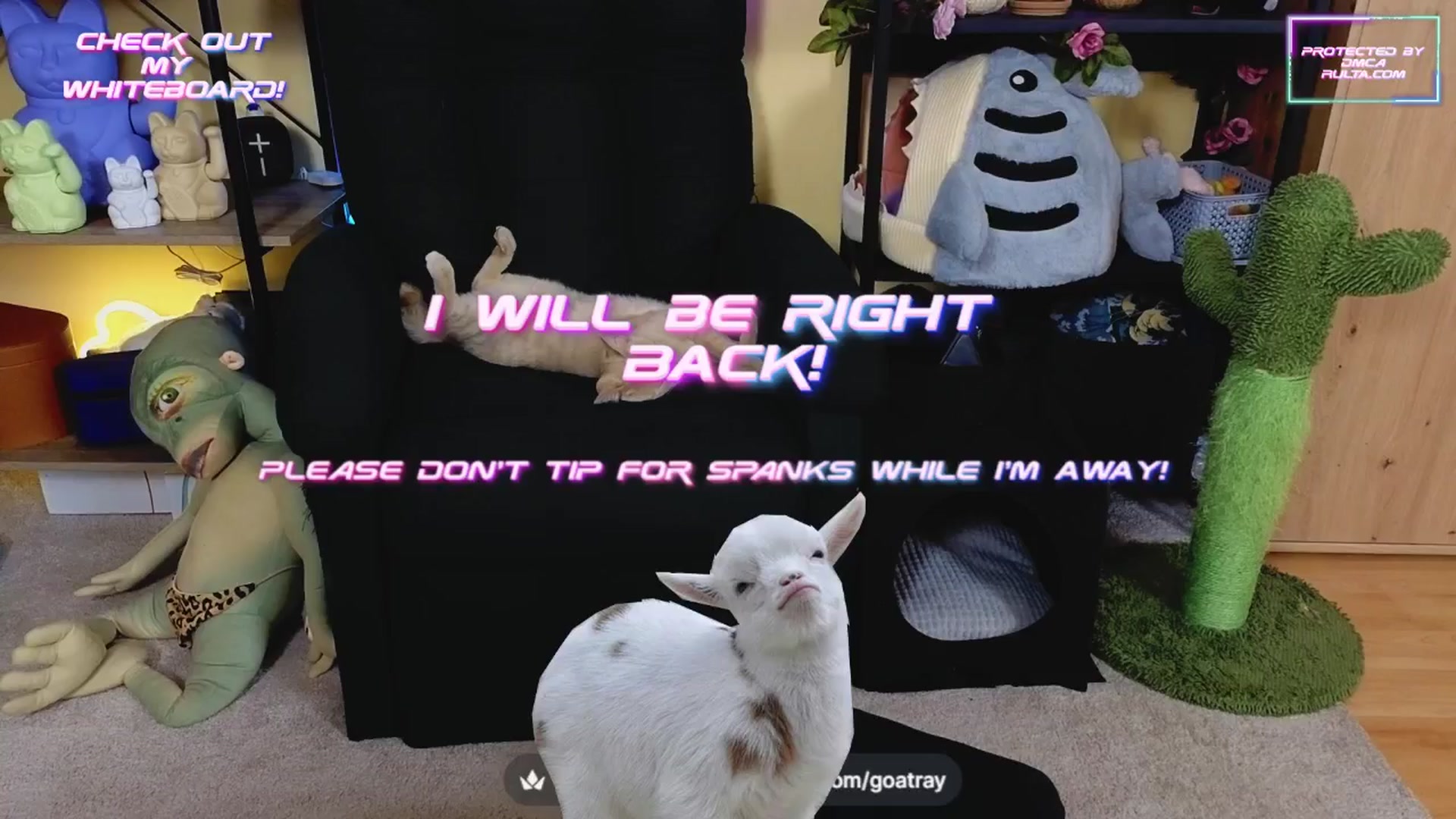 Gallery image thumbnail from TamaraRay's myfreecams stream on, 03/11/2025, 05:54 image 14 of 20