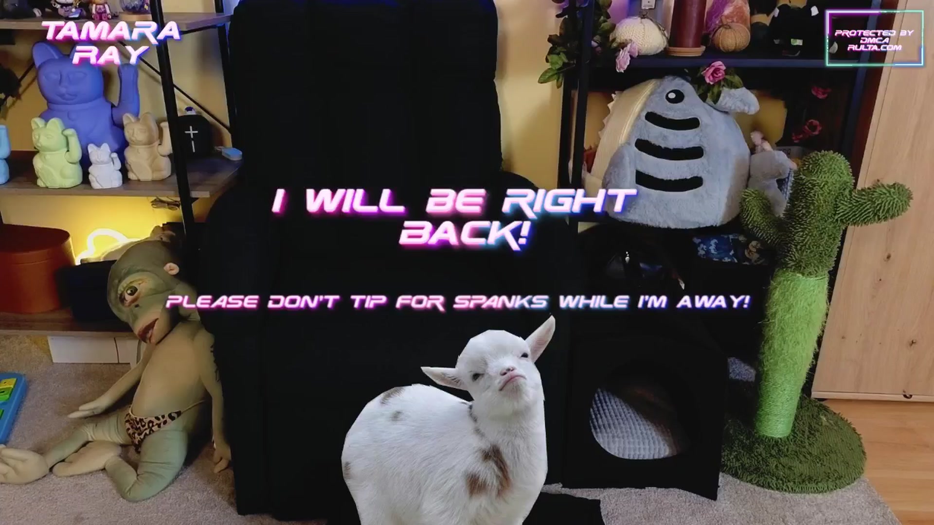 Gallery image thumbnail from TamaraRay's myfreecams stream on, 03/13/2025, 05:53 image 1 of 20