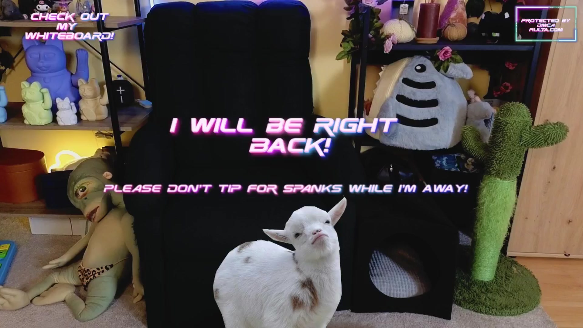 Gallery image thumbnail from TamaraRay's myfreecams stream on, 03/13/2025, 05:53 image 6 of 20