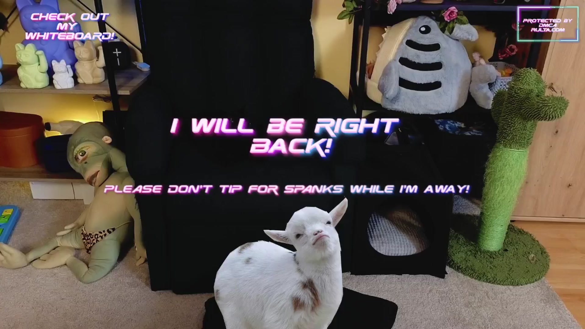 Gallery image thumbnail from TamaraRay's myfreecams stream on, 03/14/2025, 06:04 image 5 of 20