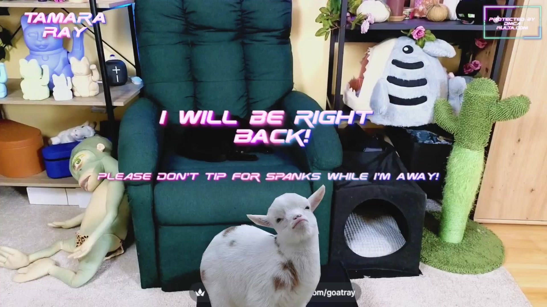 Gallery image thumbnail from TamaraRay's myfreecams stream on, 03/18/2025, 05:29 image 10 of 20