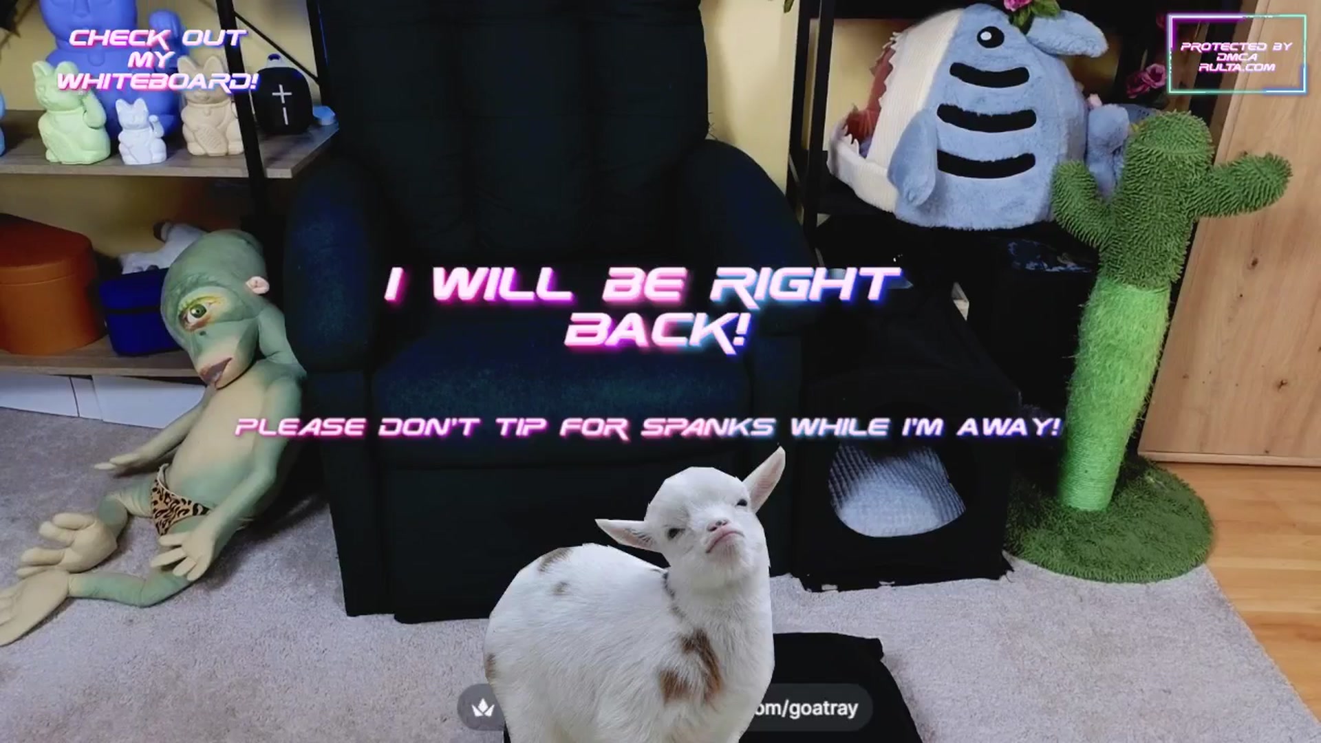 Gallery image thumbnail from TamaraRay's myfreecams stream on, 03/20/2025, 06:39 image 11 of 20