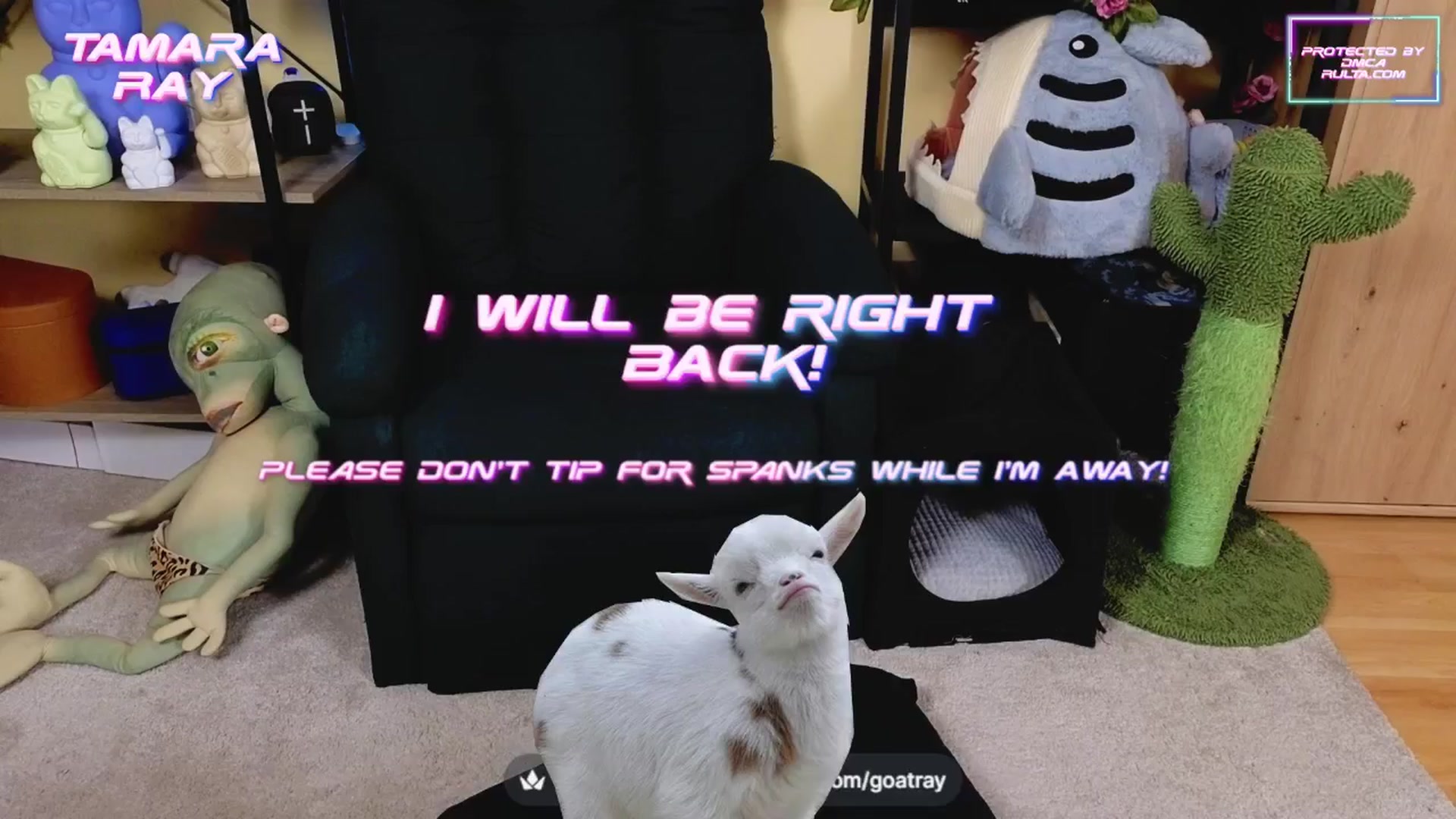 Gallery image thumbnail from TamaraRay's myfreecams stream on, 03/21/2025, 04:39 image 13 of 20
