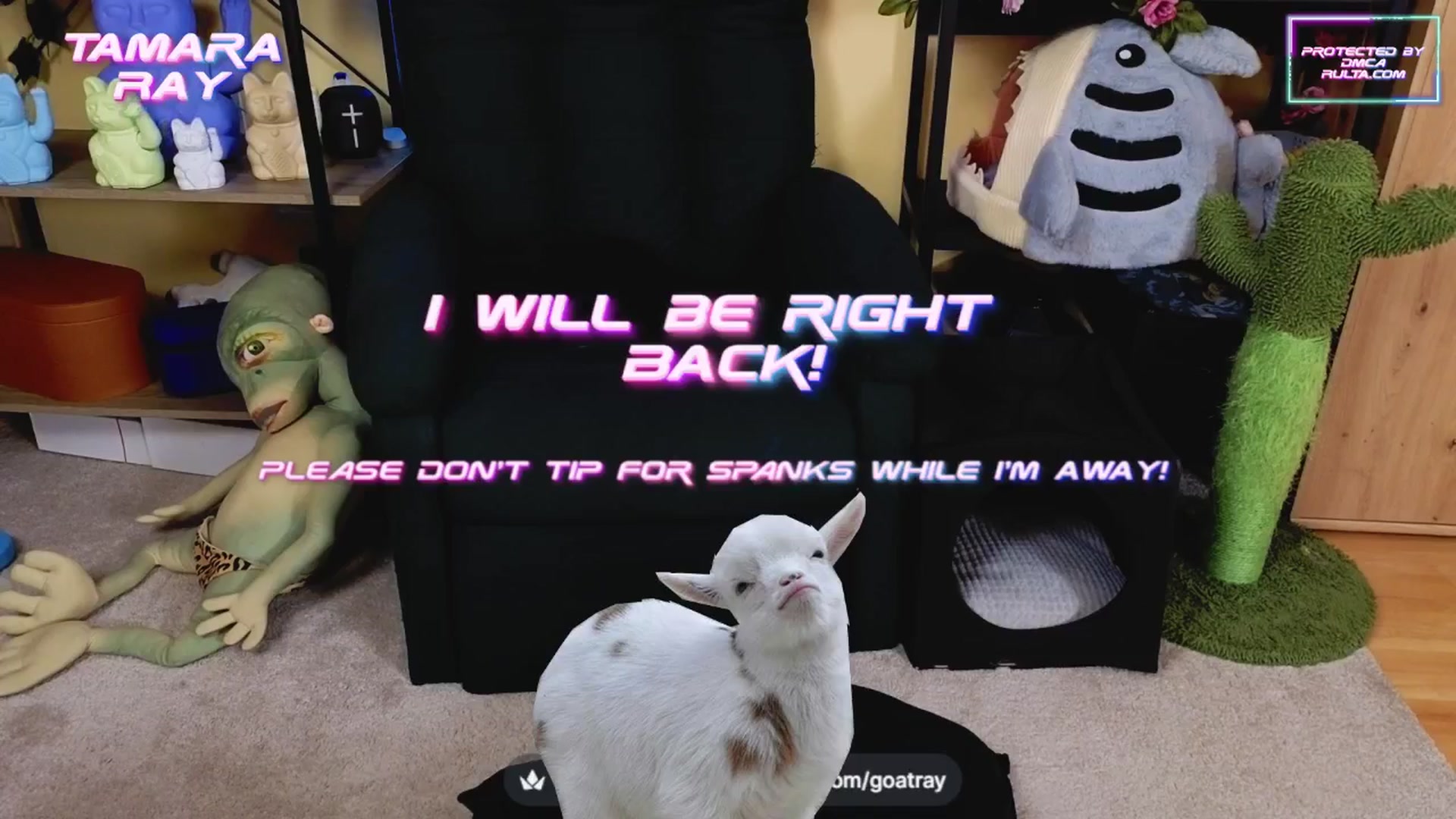 Gallery image thumbnail from TamaraRay's myfreecams stream on, 03/21/2025, 05:55 image 20 of 20