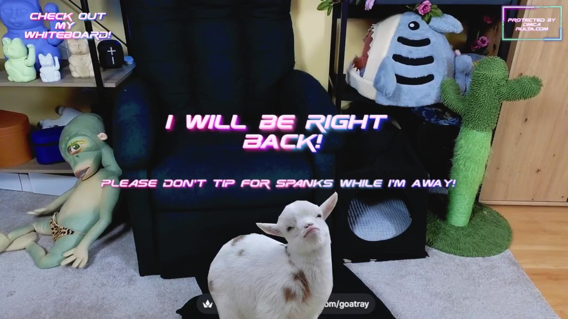 Gallery image thumbnail from TamaraRay's myfreecams stream on, 03/22/2025, 06:51 image 6 of 20