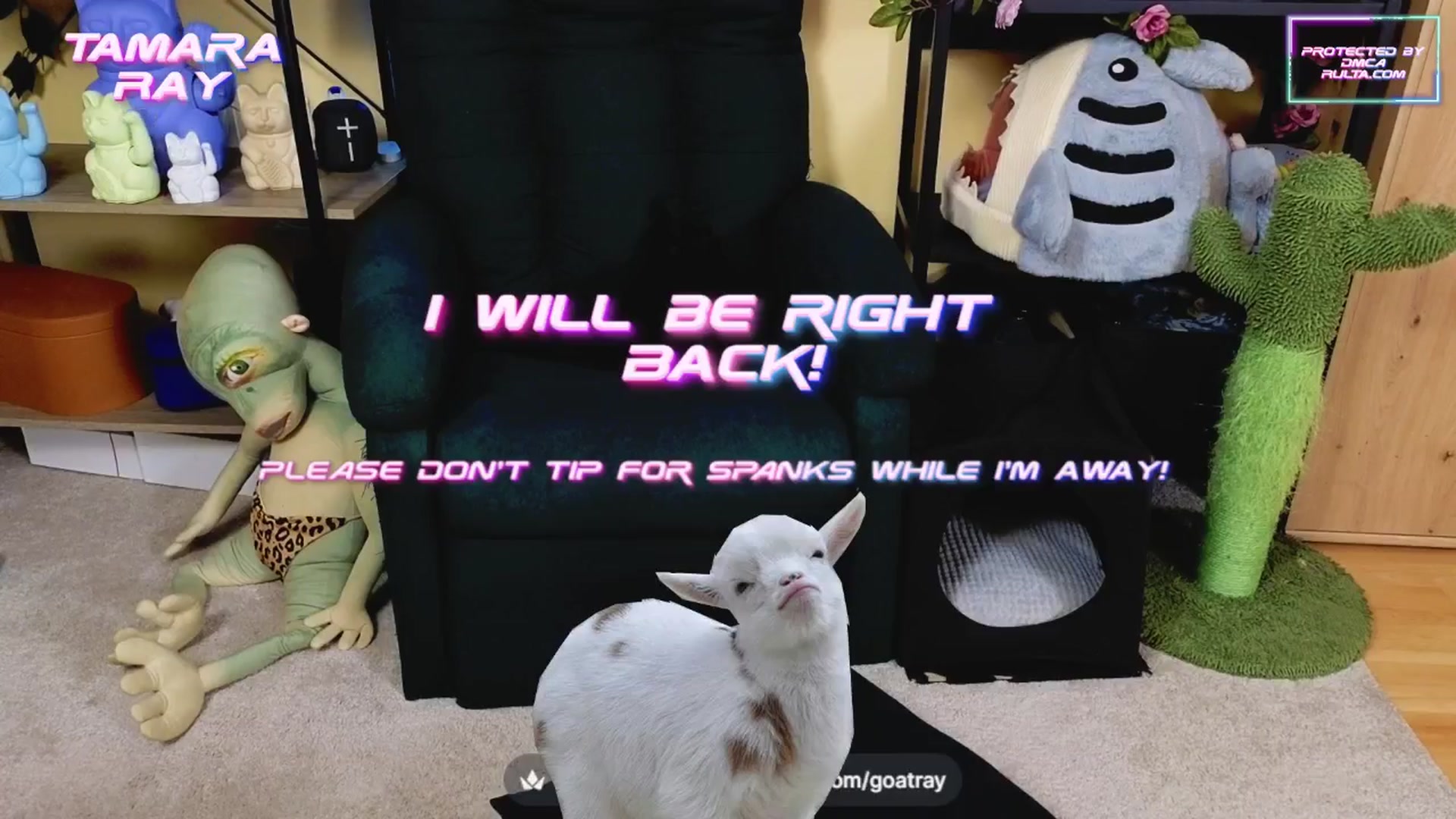 Gallery image thumbnail from TamaraRay's myfreecams stream on, 03/23/2025, 06:37 image 11 of 20