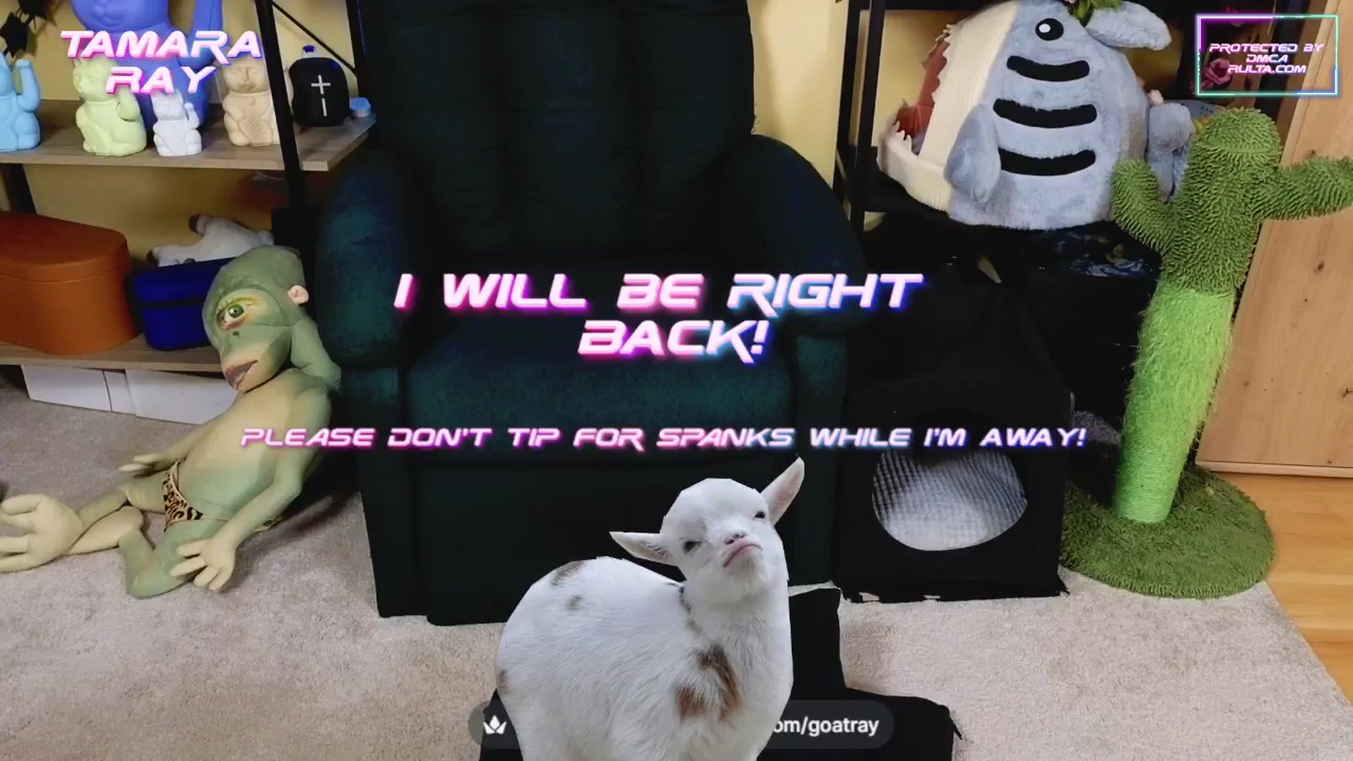 Gallery image thumbnail from TamaraRay's myfreecams stream on, 03/23/2025, 06:37 image 2 of 20