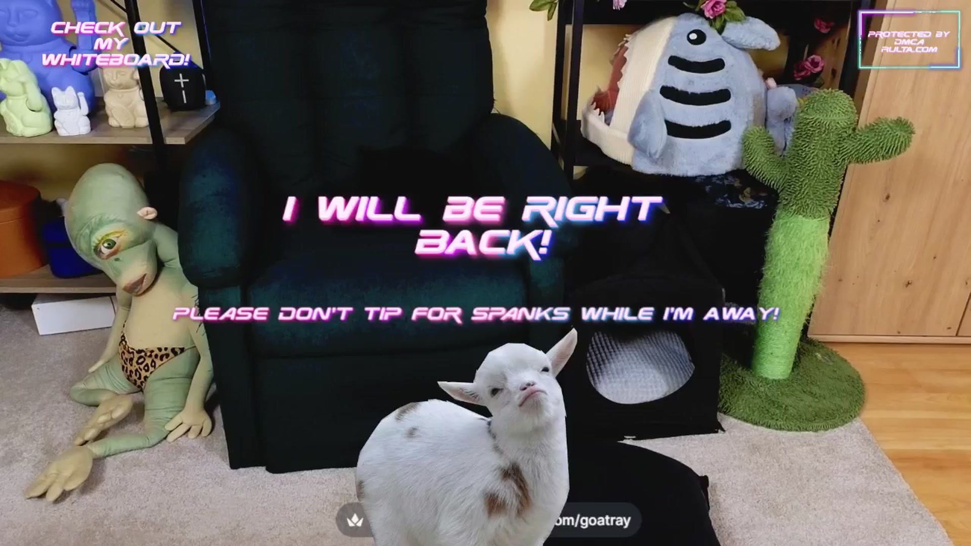 Gallery image thumbnail from TamaraRay's myfreecams stream on, 03/24/2025, 06:43 image 18 of 20