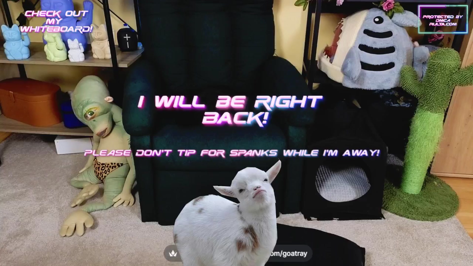 Gallery image thumbnail from TamaraRay's myfreecams stream on, 03/24/2025, 06:43 image 2 of 20