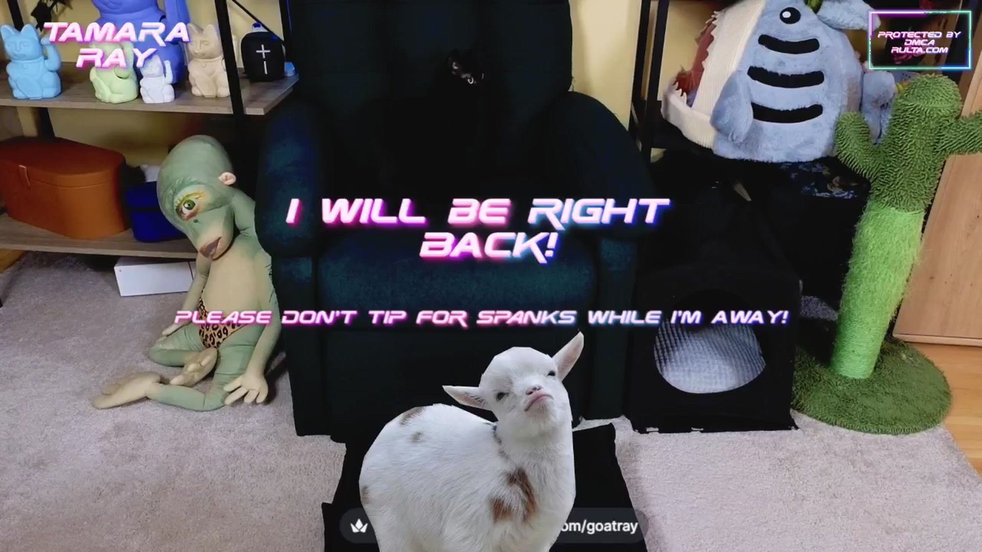 Gallery image thumbnail from TamaraRay's myfreecams stream on, 03/26/2025, 04:35 image 17 of 20
