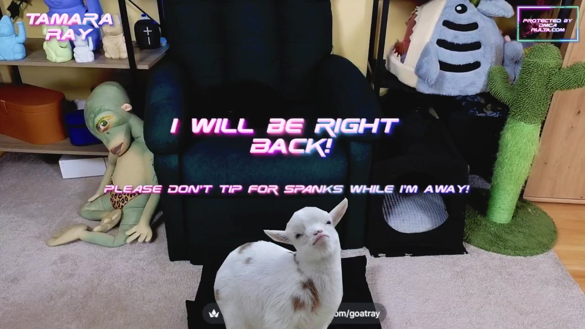 Gallery image thumbnail from TamaraRay's myfreecams stream on, 03/26/2025, 04:35 image 12 of 20