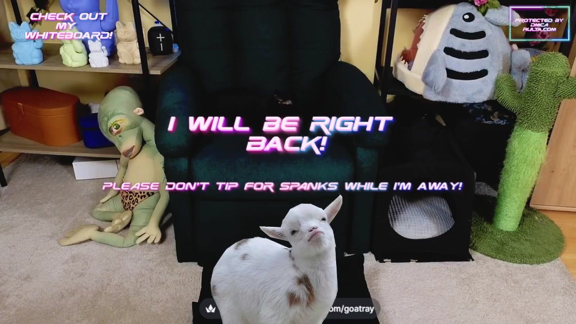 Gallery image thumbnail from TamaraRay's myfreecams stream on, 03/26/2025, 06:24 image 3 of 20