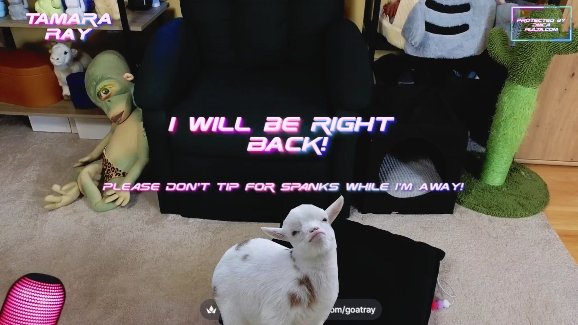 Gallery image thumbnail from TamaraRay's myfreecams stream on, 04/03/2025, 05:17 image 11 of 20