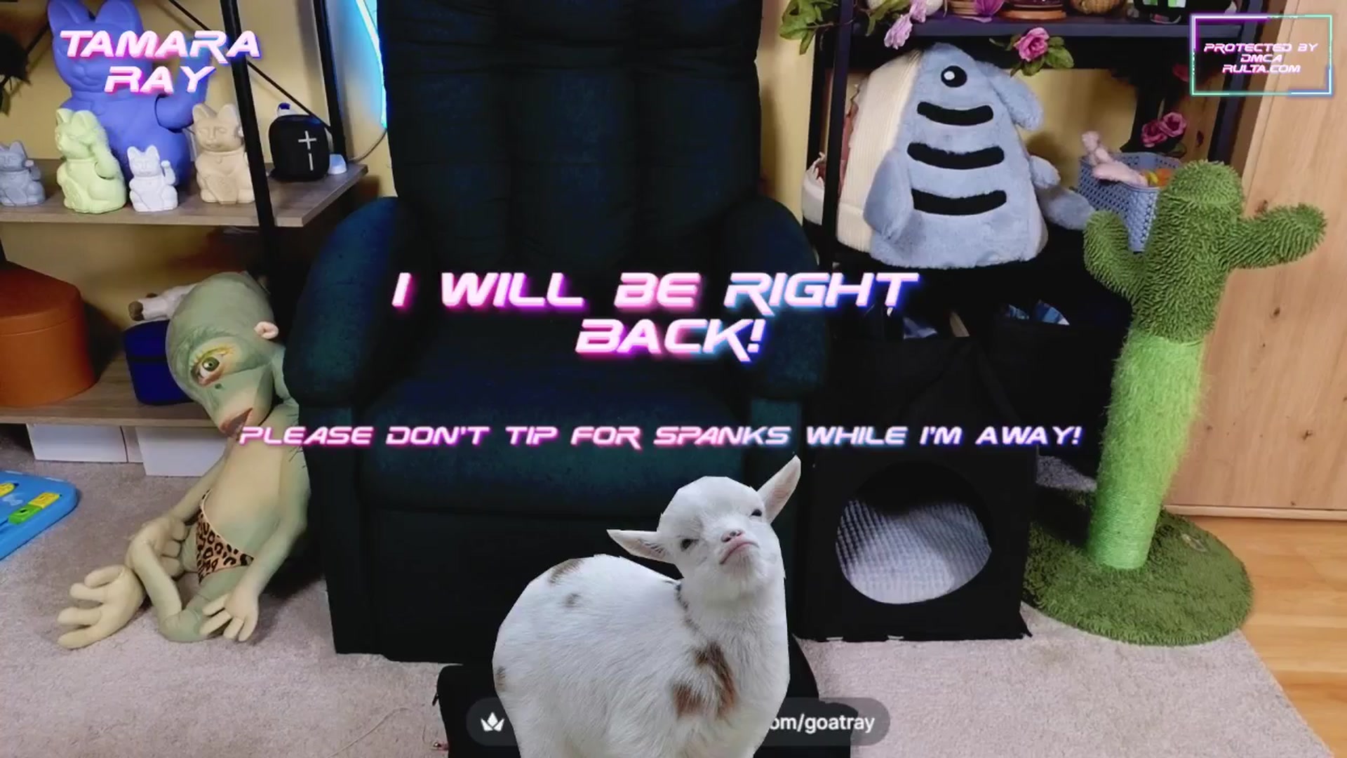 Gallery image thumbnail from TamaraRay's myfreecams stream on, 04/04/2025, 05:18 image 4 of 20