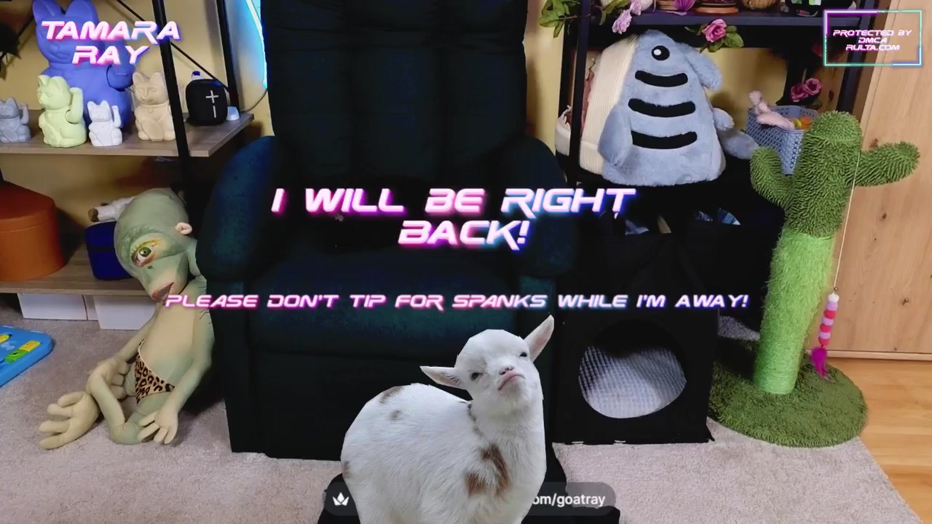 Gallery image thumbnail from TamaraRay's myfreecams stream on, 04/04/2025, 05:18 image 15 of 20